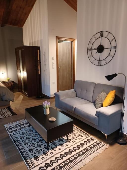 Luxury Apartment With Balcony Mytilíni Exterior foto