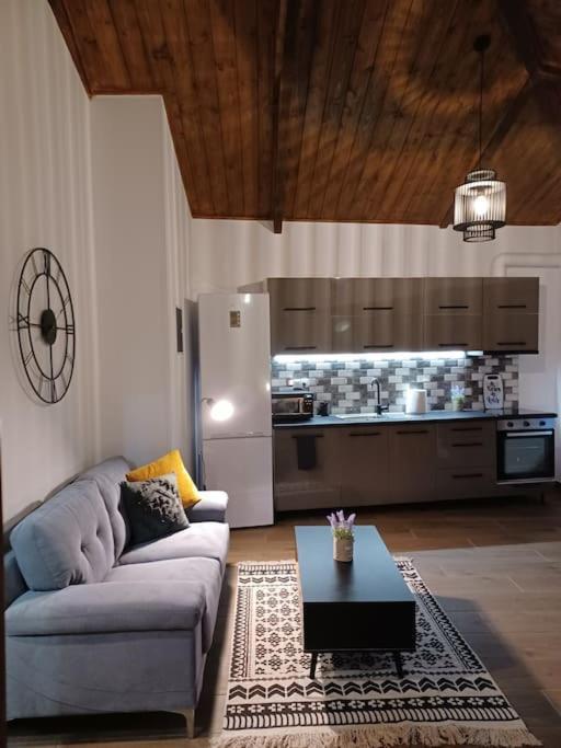 Luxury Apartment With Balcony Mytilíni Exterior foto
